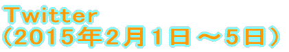 Twitter (2015�N2��1���`5��) 