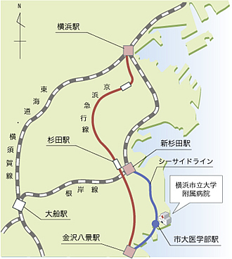 横浜市立大学附属病院, 手の外科, 整形外科, 名医, 母指CM関節症, 腱鞘炎, 専門医, 長崎県, 佐賀県, 福岡県, 熊本県, 大分県, 宮崎県, 鹿児島県, 東京都, 八王子市, 大阪府
